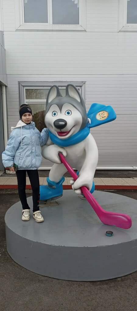 Sports school Спортивная школа олимпийского резерва по хоккею с мячом, Krasnoyarsk, photo