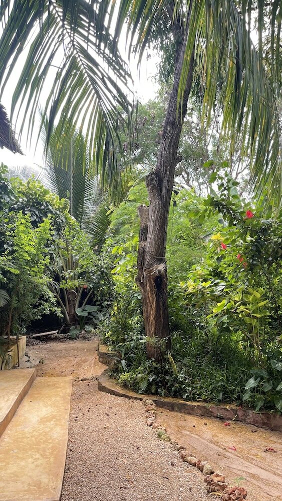 Фото Atii Garden Bungalows