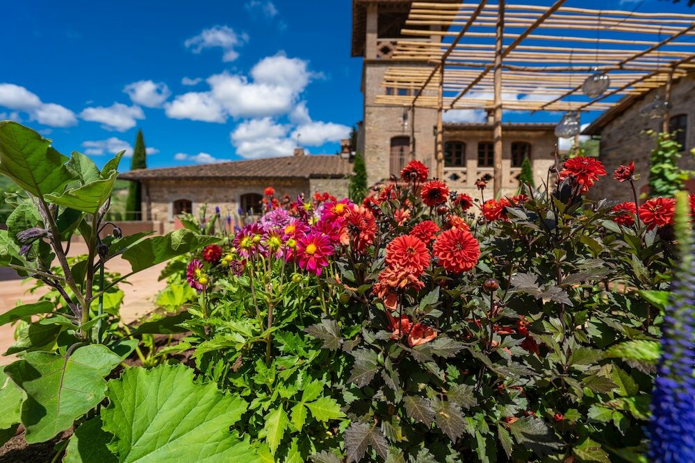 Фото Hotel Villa Campomaggio