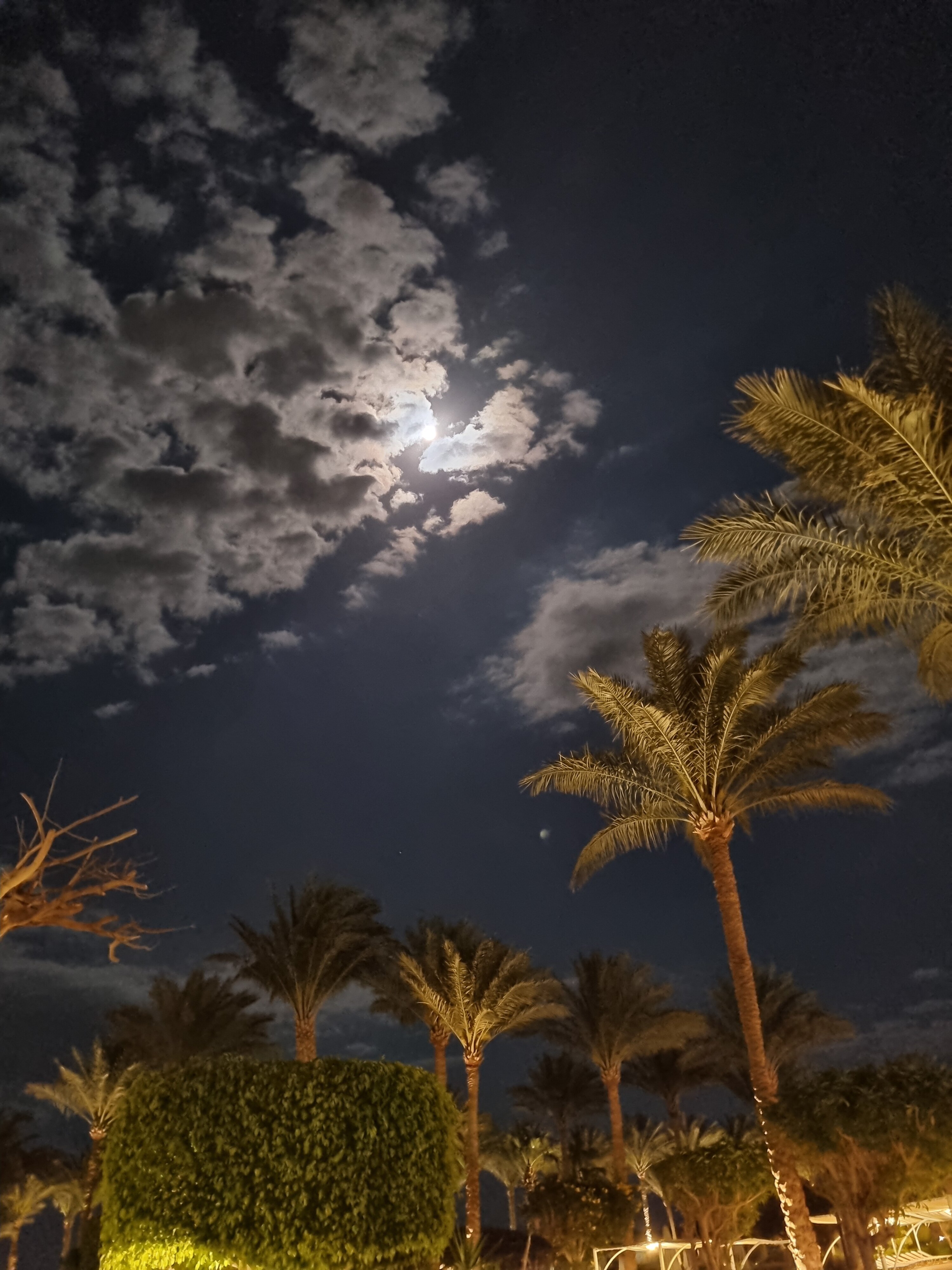 Фото Jaz Mirabel Beach