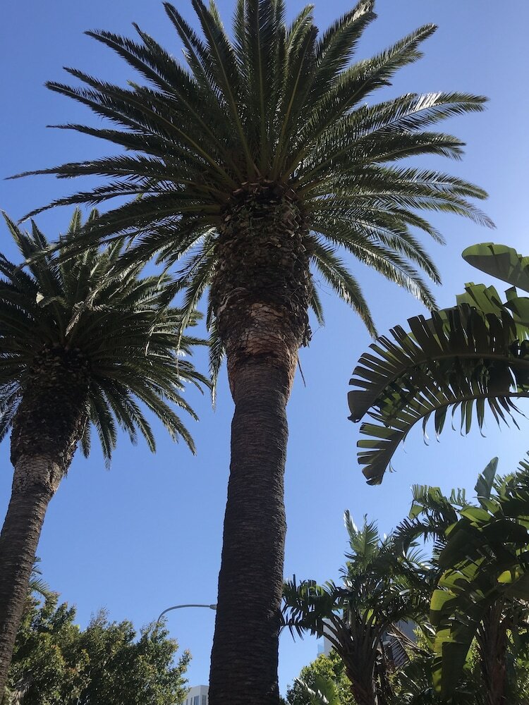 Фото Albatross Guest House