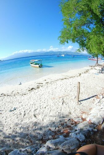 Гостиница Manta Dive Gili Trawangan Resort в Провинции Западные Малые Зондские острова