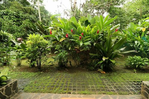 Гостиница Tirimbina Rainforest Lodge в Провинции Эредия