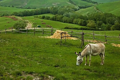 Гостиница Fattoria Lischeto