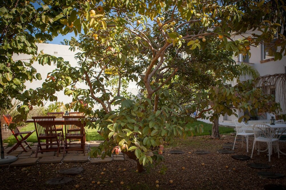 Фото The Lions Guesthouse