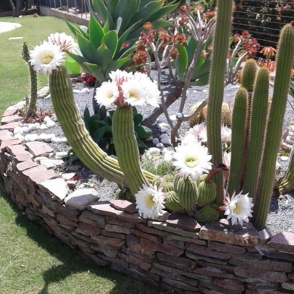 Фото B&b Villa Rosanna