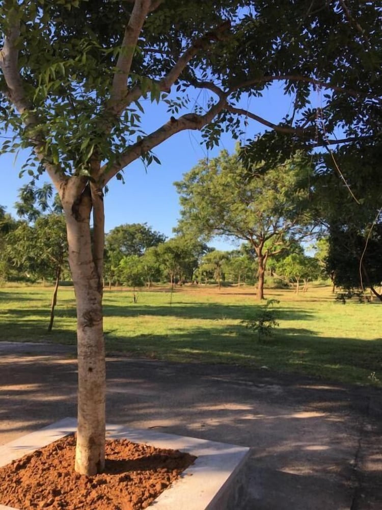 Фото Koragaha Lodge