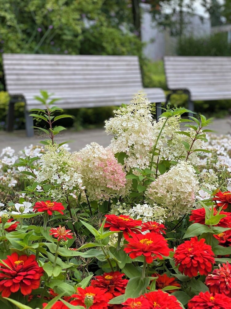 Фото Hotel Sonnenhügel