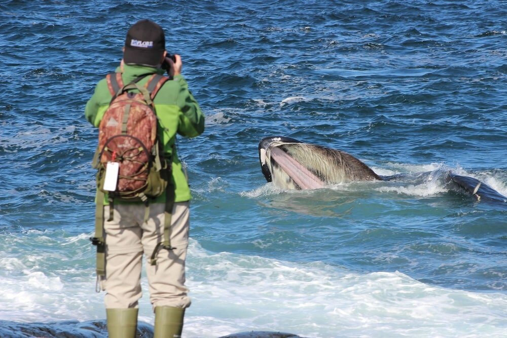 Фото Marble Inn Resort