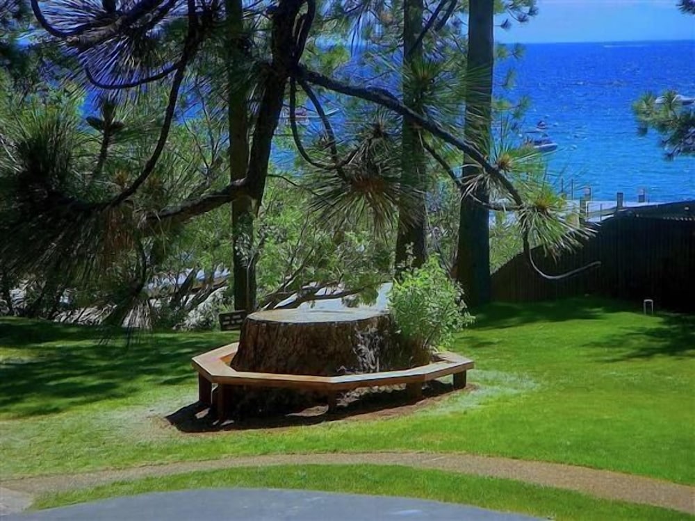 Фото Twin Top Lodge