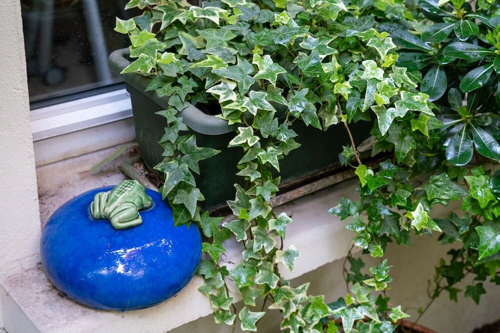 Фото Nouvel Hotel Paris