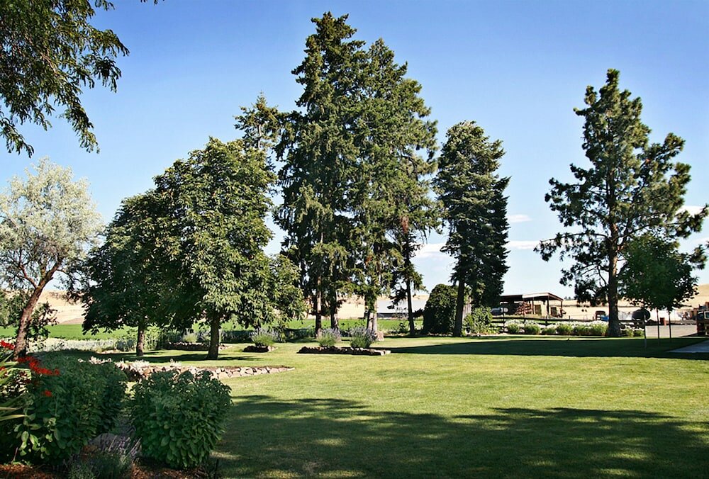 Фото Balch Hotel