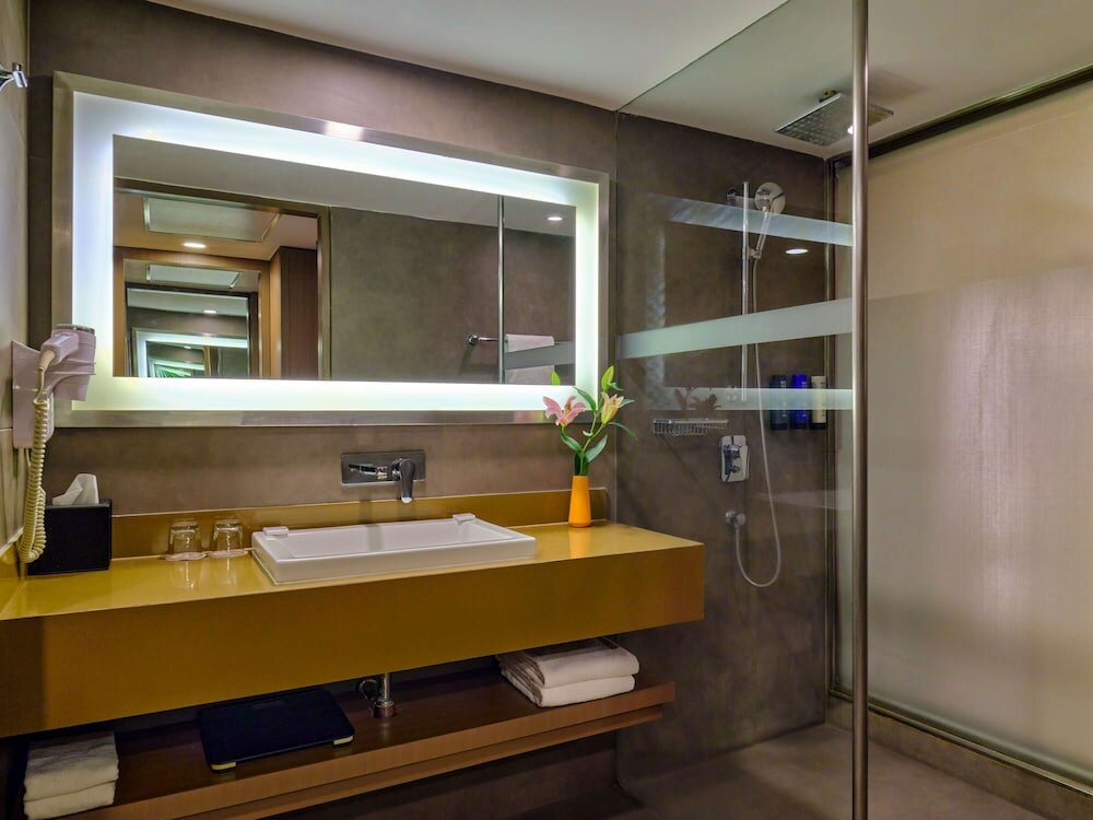 Фото Novotel Ahmedabad Hotel
