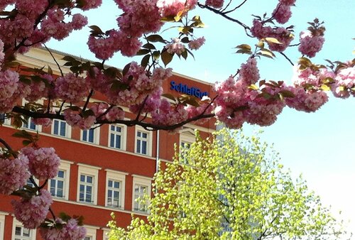 Гостиница AppartementHotel SchlafGut Leipzig в Лейпциге