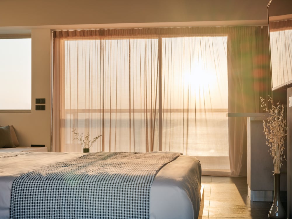 Фото 3 Olive Trees