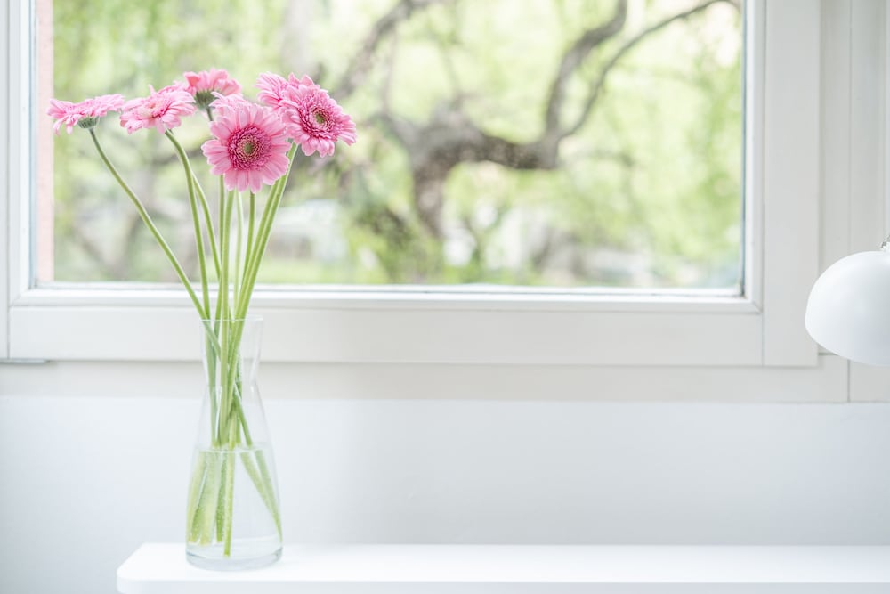 Фото InnsbruckHomes at Botanical Garden