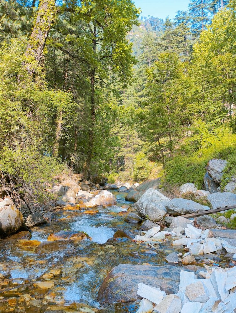 Фото Madpackers Jibhi - Hostel