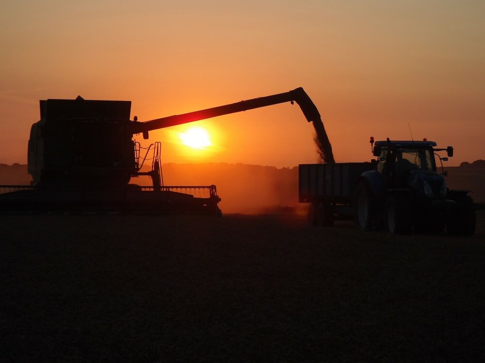 Фото Manor Farm B & B