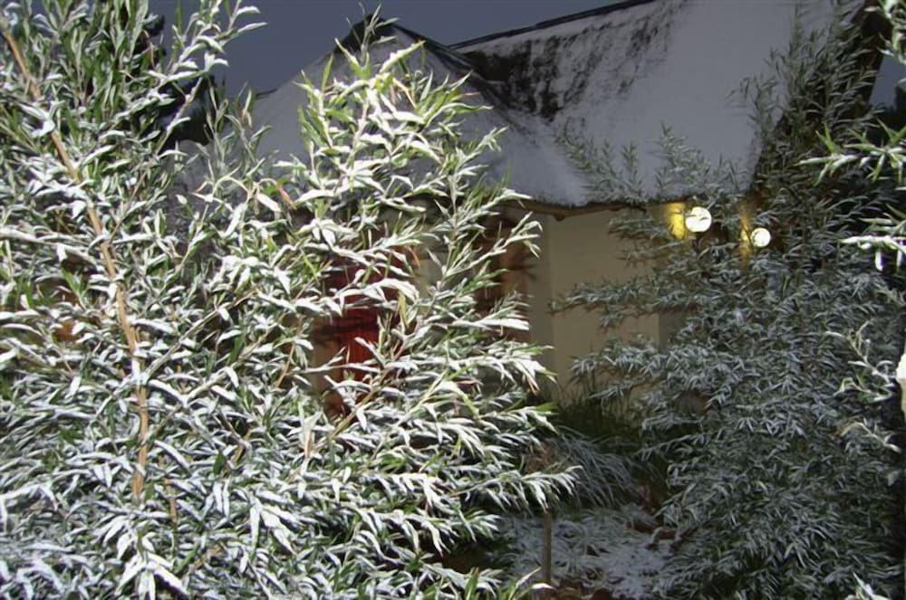 Фото African Silhouette Guesthouse