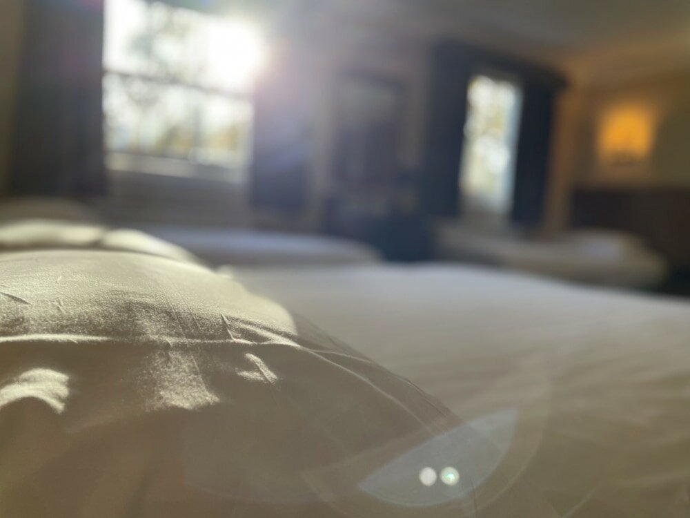 Фото Orchard Hotel