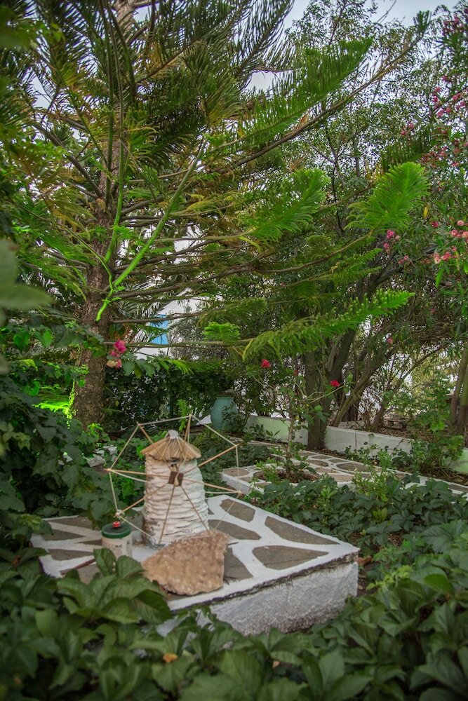 Фото Irini Studios In Tinos