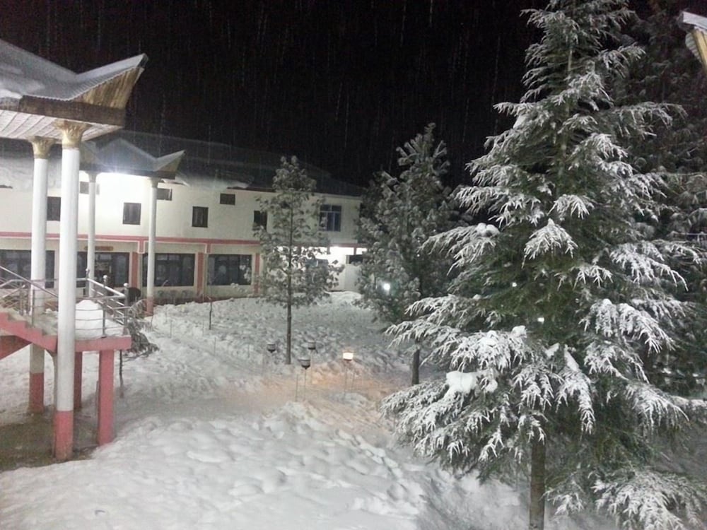 Фото 54424553954