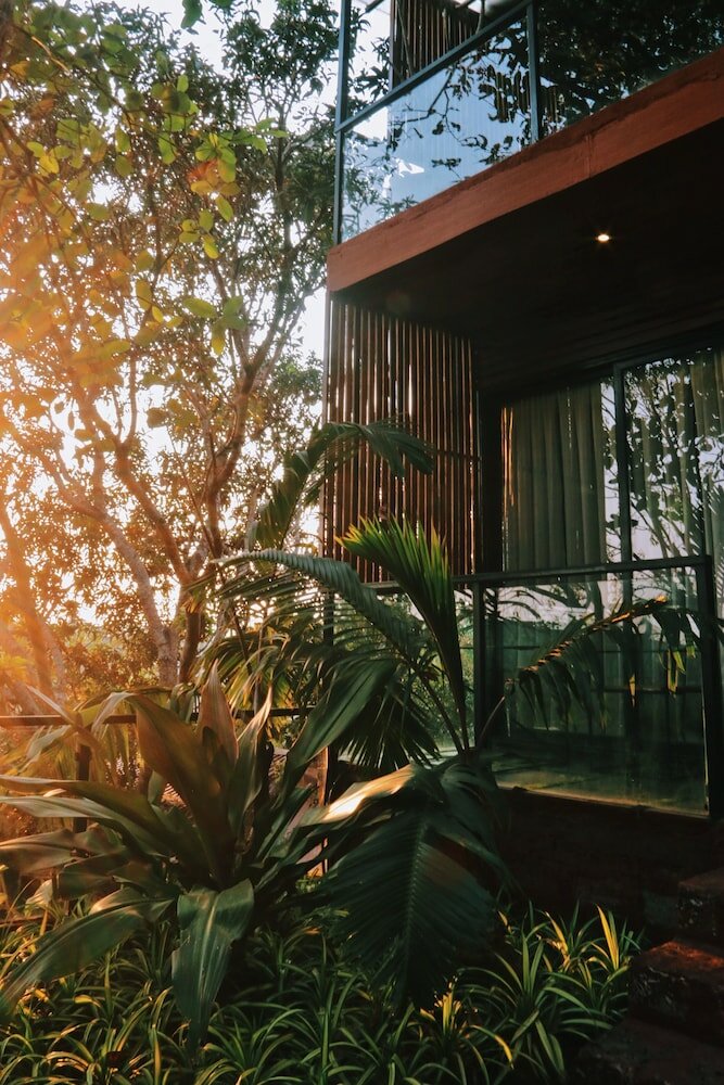 Фото Amazonika Boutique Resort