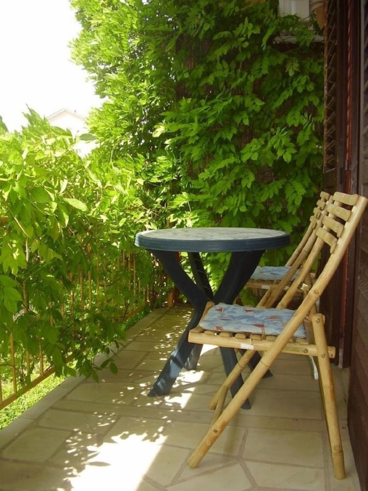 Фото Igor - Near Center - Sa1-teuta