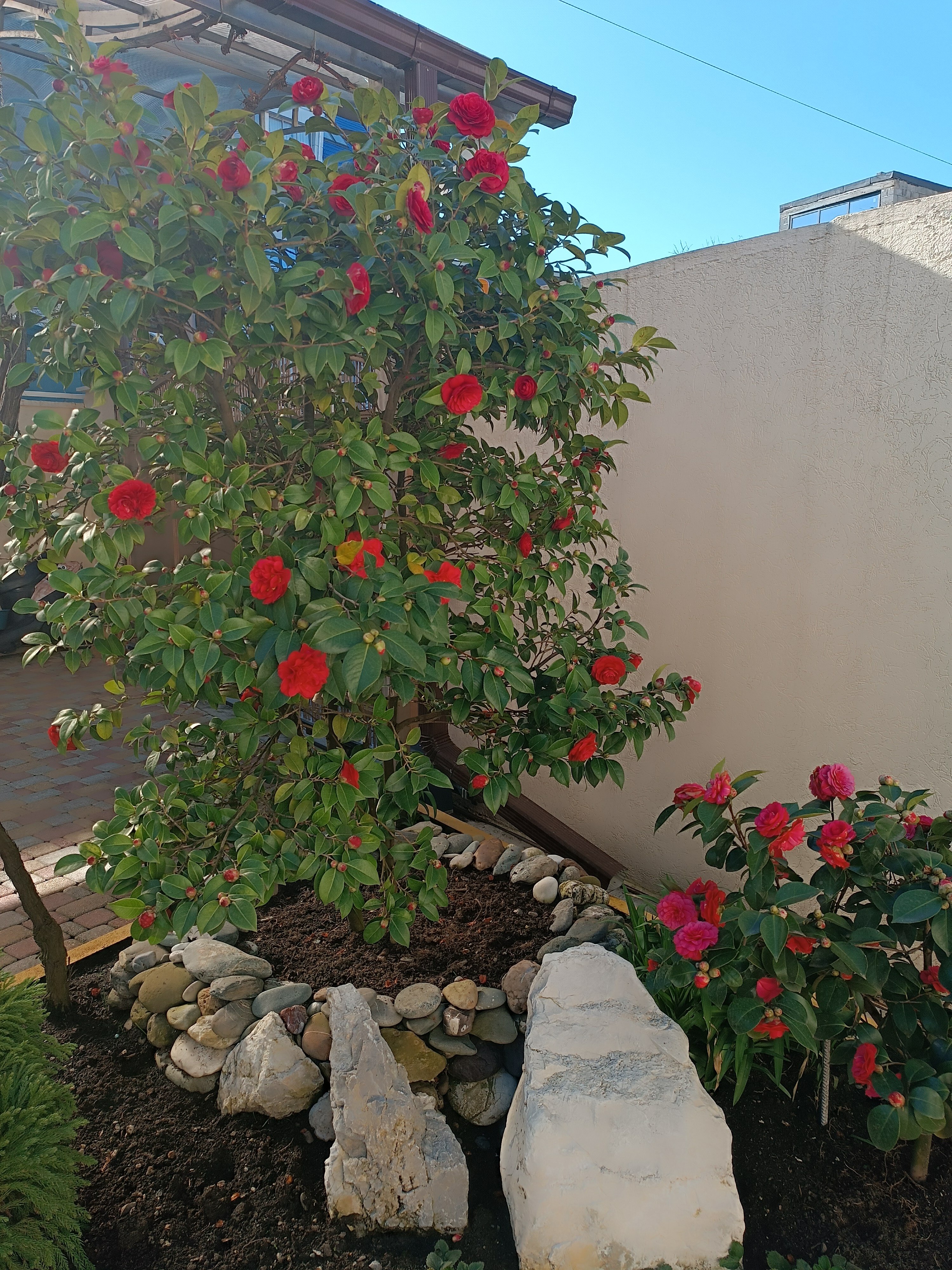 Фото Река и Море