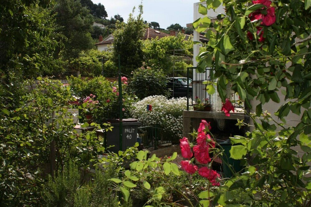 Фото Mili - 250 m From sea - A1 Marjetka