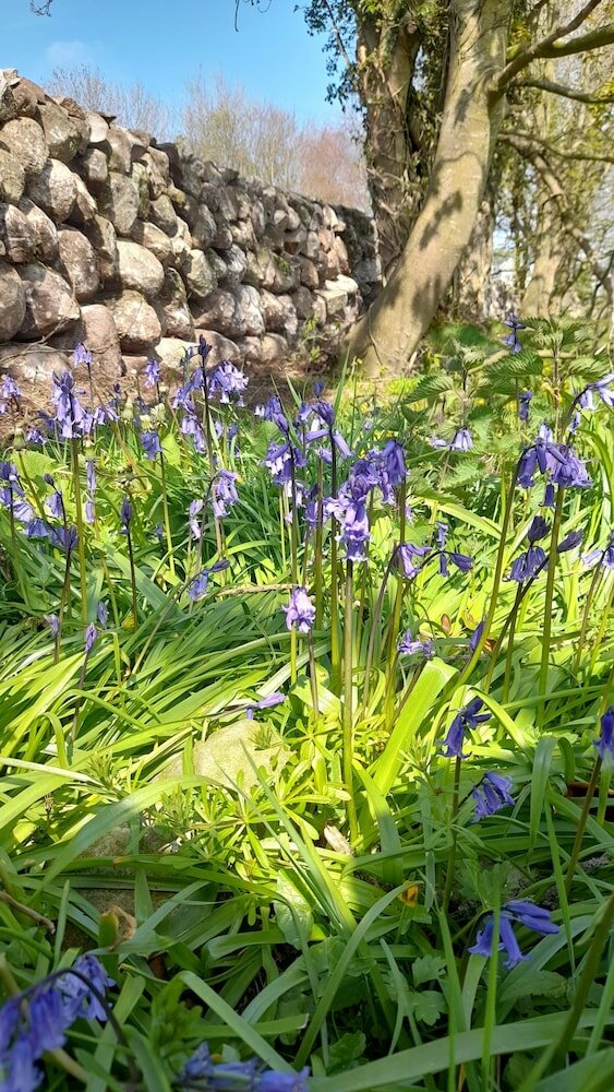 Фото Ballykeel Farm