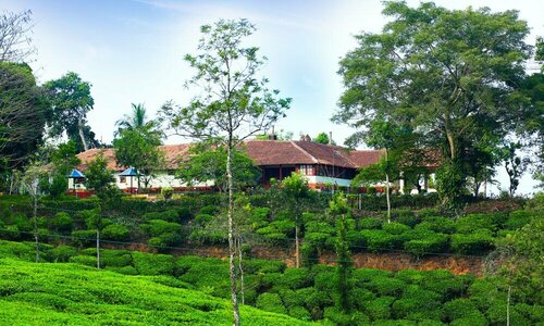 Гостиница Standard Double Room-wayanad