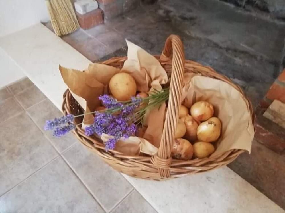 Фото Robinson House Dubrova