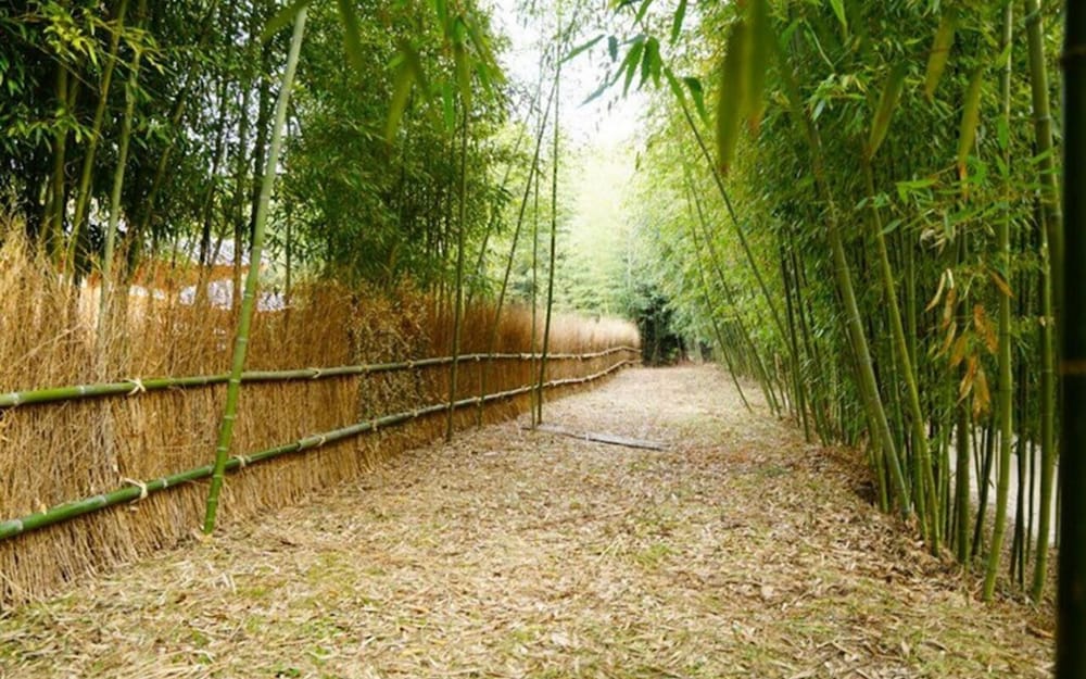 Фото Damyang Dambit Pension