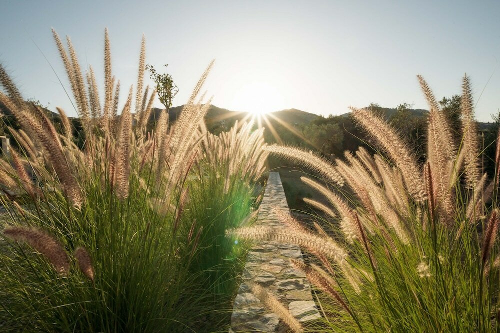 Фото Elies Residences