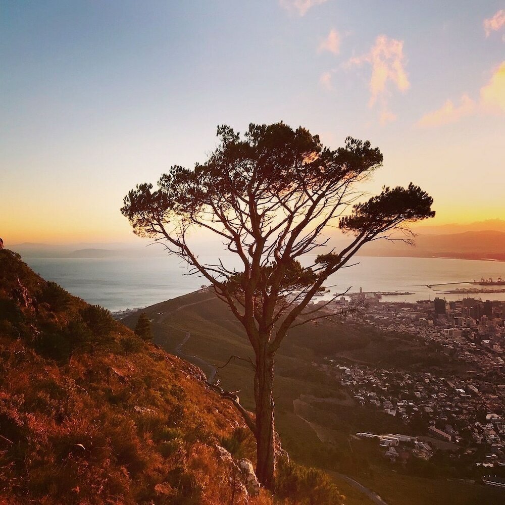 Фото Cactus House Gay Male Guesthouse - Adults Only