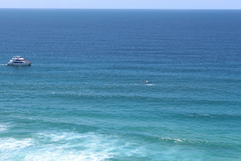 Фото Boulevard North Holiday Apartments