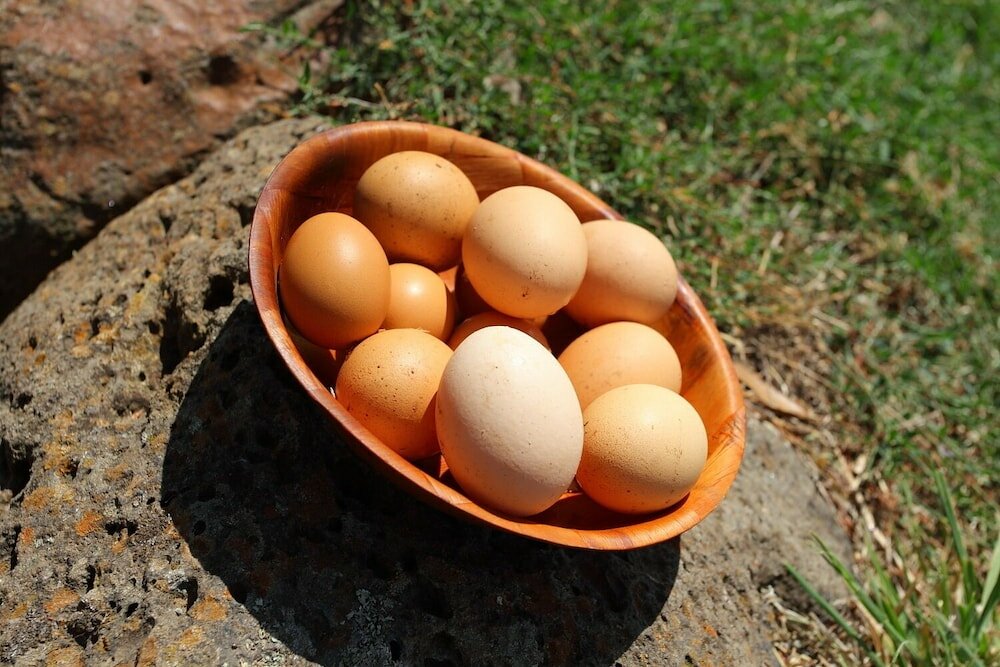 Фото Tuki Retreat