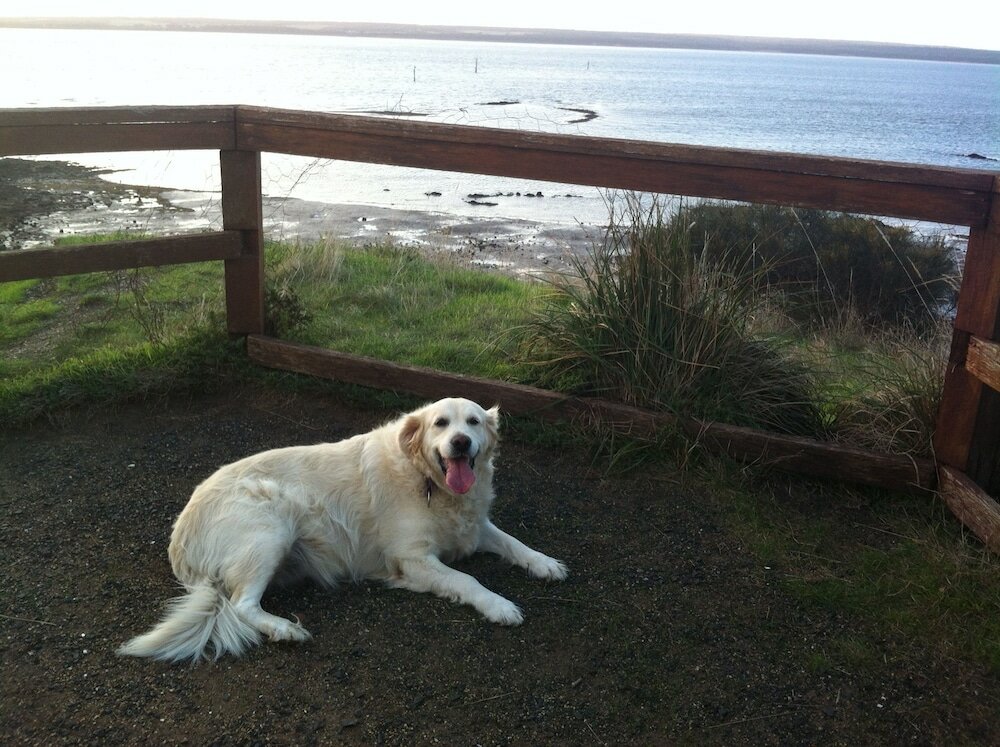 Фото Corinella On The Esplanade Bed & Breakfast