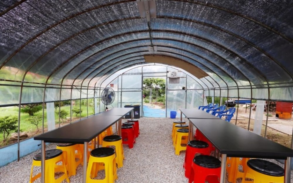 Фото Ganghwa Nature Farm Pension