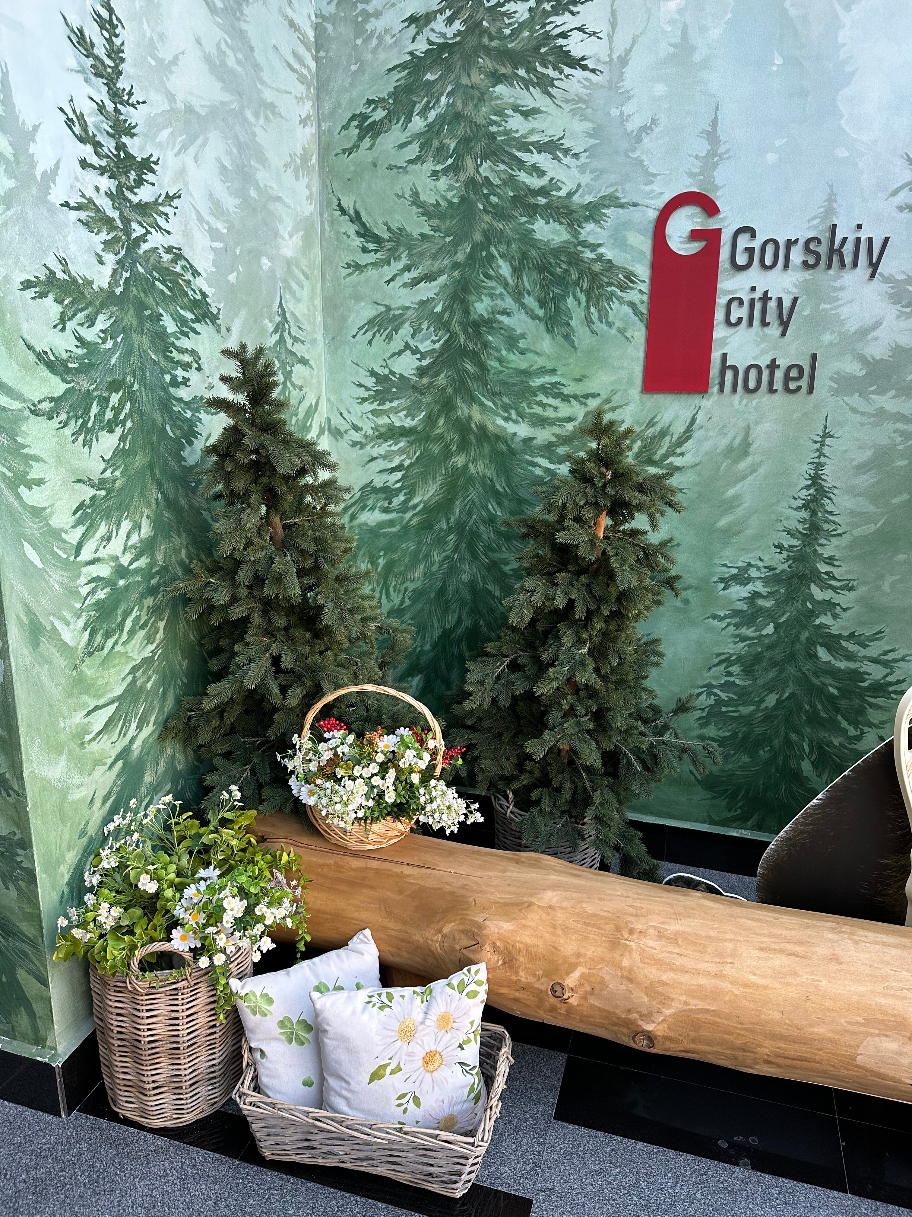 Фото Gorskiy city hotel