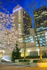 Гостиница Hilton Seattle