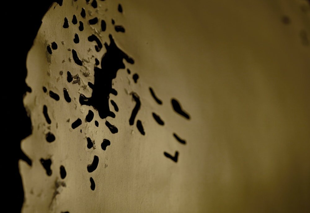 Фото Omni Charlotte Hotel