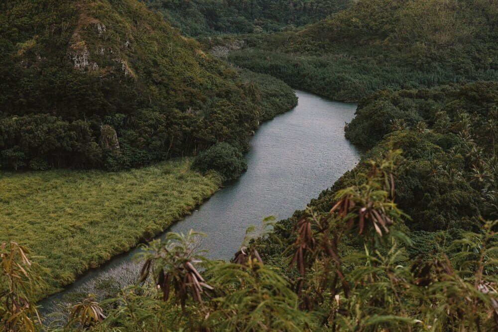 Фото Plantation Hale Suites