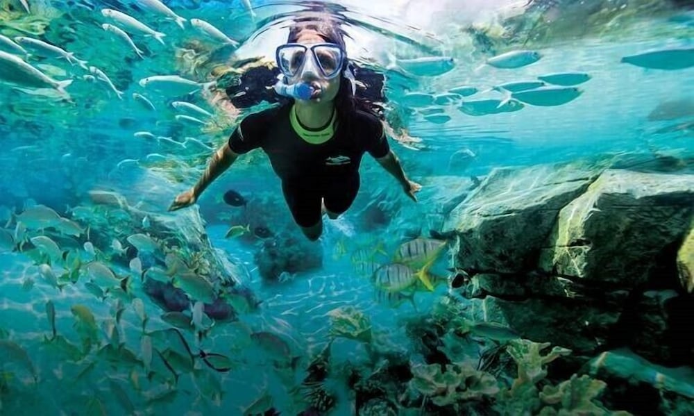 Фото Hyatt Regency Orlando