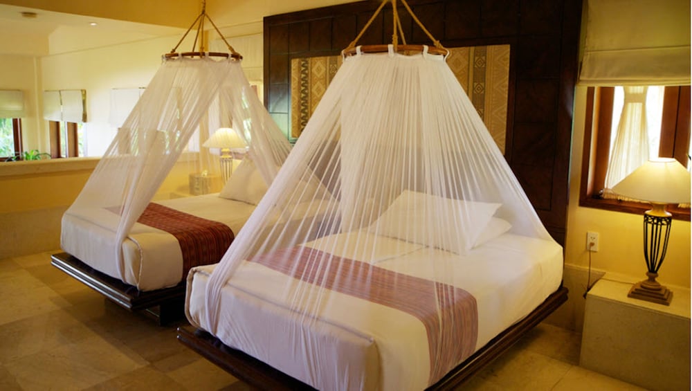 Фото Pulchra - Philippines