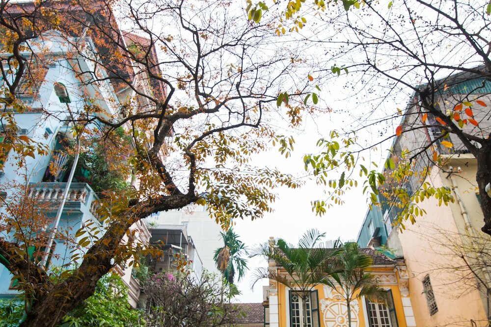 Фото Golden Legend Diamond