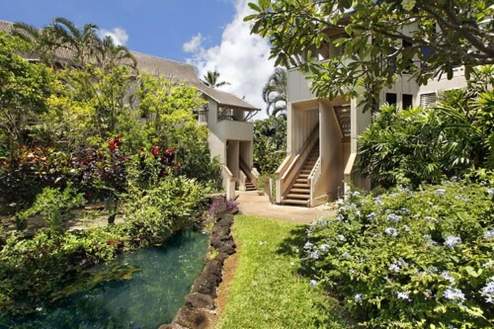 Фото Waikomo Stream Villas