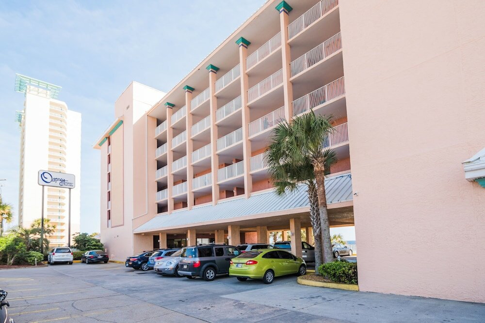 Фото Osprey on the Gulf