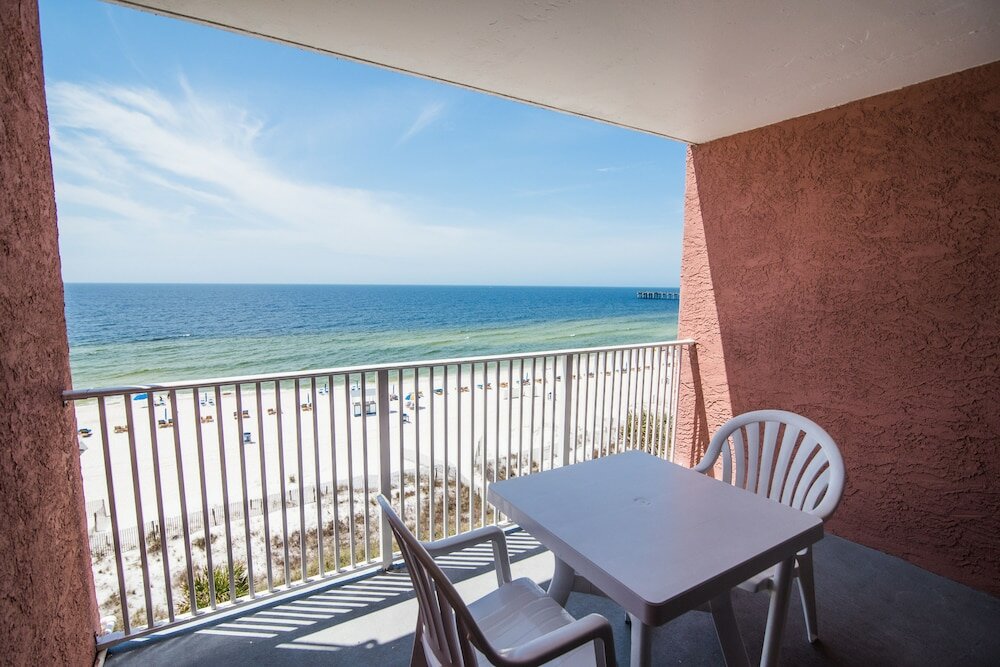 Фото Osprey on the Gulf